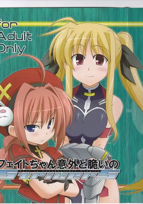 Fate-chan Igai to Moroi no StrikerS