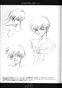 [CARNELIAN] CARNELIAN vol.2 - Re·Leaf Settei Shiryou Tsudo