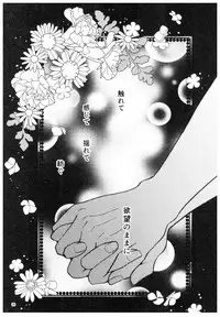 (SPARK13) [Yanagi-tei (Yanagi)] RaA Sairokushuu - Strawberry LIFE (Ranma 1/2)