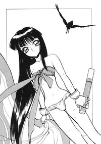 (C52) [Nawanoren (Shimizu Kiyoshi)] NN GACHOON (Various)