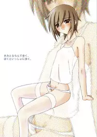 (C66) [Sasaduka (Riuichi)] Kimi to Narande Aruku. Boku to Issho ni Aruku.