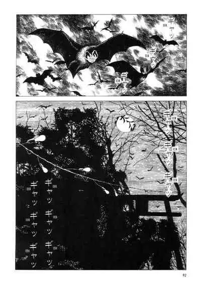 Shōjo Tsubaki | Mr. Arashi's Amazing Freak Show