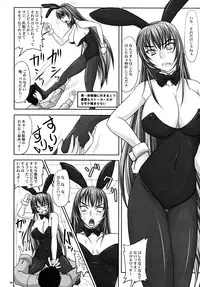 (A3) [Nozarashi (Nozarashi Satoru)] Misshitsu de Kyoubou Bunny Hime to Futarikiri.