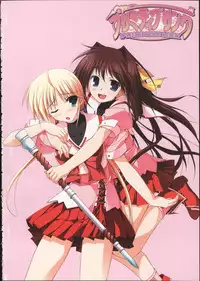 Primitive Link Visual Fanbook