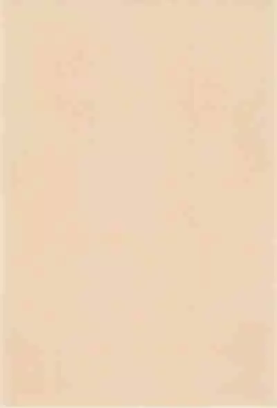 THERE’S SOMETHING ABOUT TORTE!