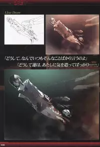 Dies irae Visual Fanbook - Black Book