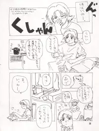 (C47) [Akahira Kirin (Akahira Kirin, Tanaka Hiro)] Bitei Kotsu no Tsubo (Kari) (Metal Fighter Miku)