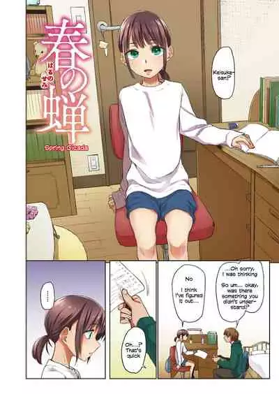 Haru no Semi | Spring Cicada