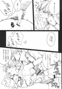 (C75) [Akai Tsubasa] LOVE FOOL.10 (Fantasy Earth Zero)