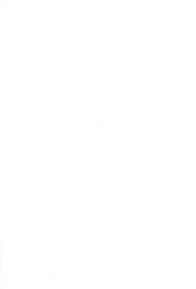 Kindai Codomore Original