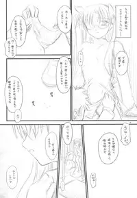 (C75)[Yakan Hikou (Inoue Tommy)] PP2+ (Fate)