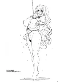 (Reitaisai 13) [Douganebuibui (Aburidashi Zakuro)] Rensousou (Touhou Project) [Chinese] [final個人漢化]