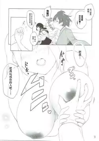 Nikousen no Okkii Hou | 二航戰的大奶奶