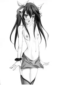 (COMIC1☆5) [IRODORI (SOYOSOYO)] H'I,S (Infinite Stratos)