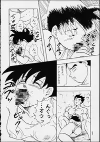 (C49) [Chirigami Goya / Fusuma Goten] Z (Dragonball)