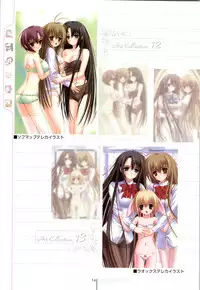 Otome wa boku ni koi shiteru Visual Fanbook (Otoboku)