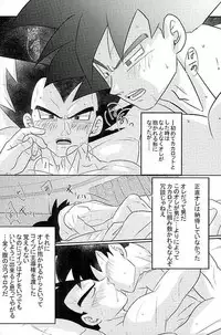 [Level+D (Bui)] 00318 (Dragon Ball Z)