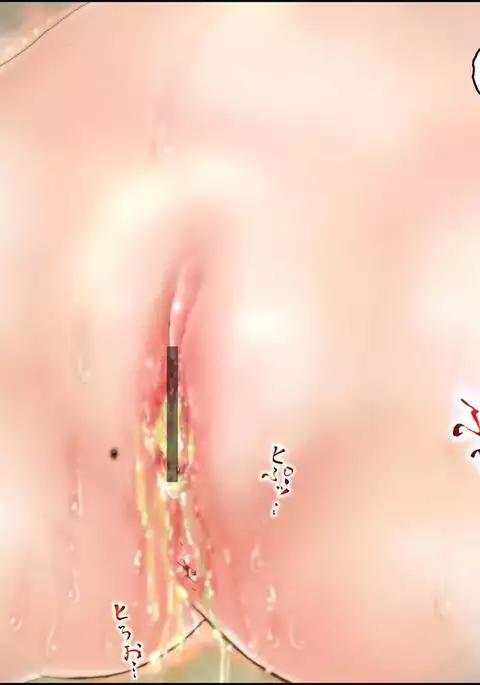 美処女戦士 みむ・ぷりンな