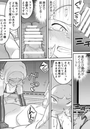 Kachou Seidorei Choukyou II