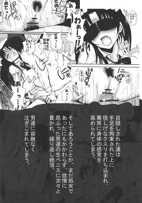 Moeyo Rin Higyaku Choukyou Hen