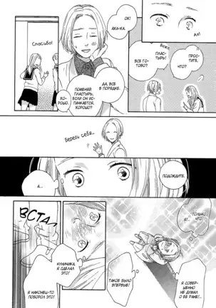 The Daydreamer Falls in Love