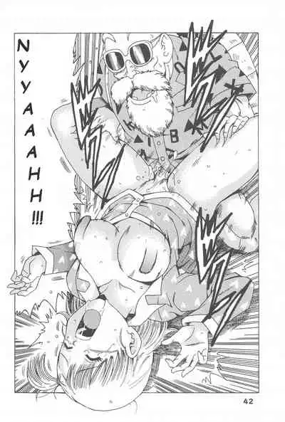 Bulma no Saikyou e no Michi