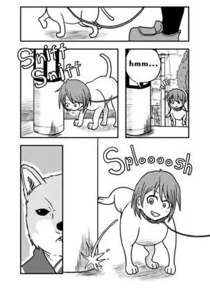 Henka-kei-bo TF Account book