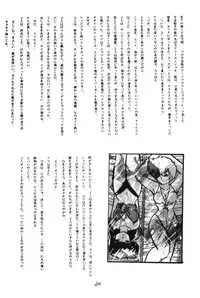 [Ashanti] RABBIT CARNIUAI (Dirty Pair)