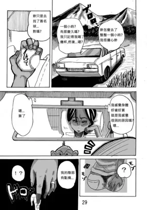 Yankee Zuma Akemi ~Konsui Netorare Muchi Muchi Zuma~/ Zoku