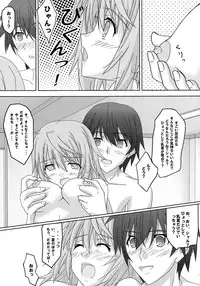 (SHT2012 Haru) [Kairaku Shuudan (Katou Kakashi)] if ~Aiefu~ Sono 1 (IS <Infinite Stratos>)