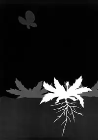 [Machida Hiraku] Tanpopo no Matsuri