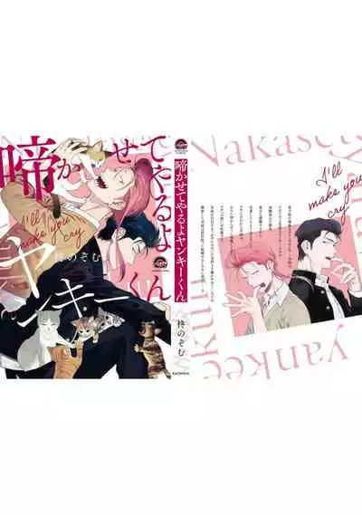 Nakasete Yaru yo Yankee-kun | 让你哭噢小混混 番外