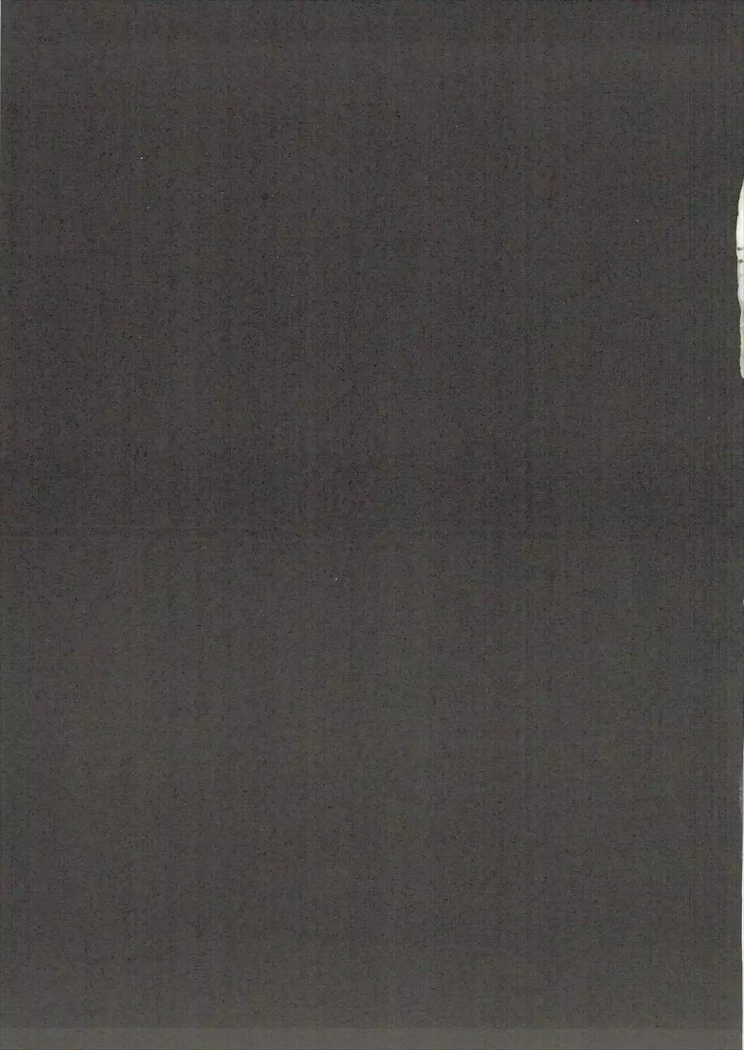 駄肉マッサージダイエット