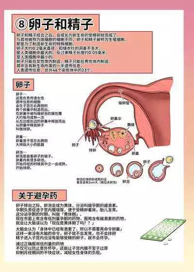 Maid-san to Manabu Onnanoko no Karada