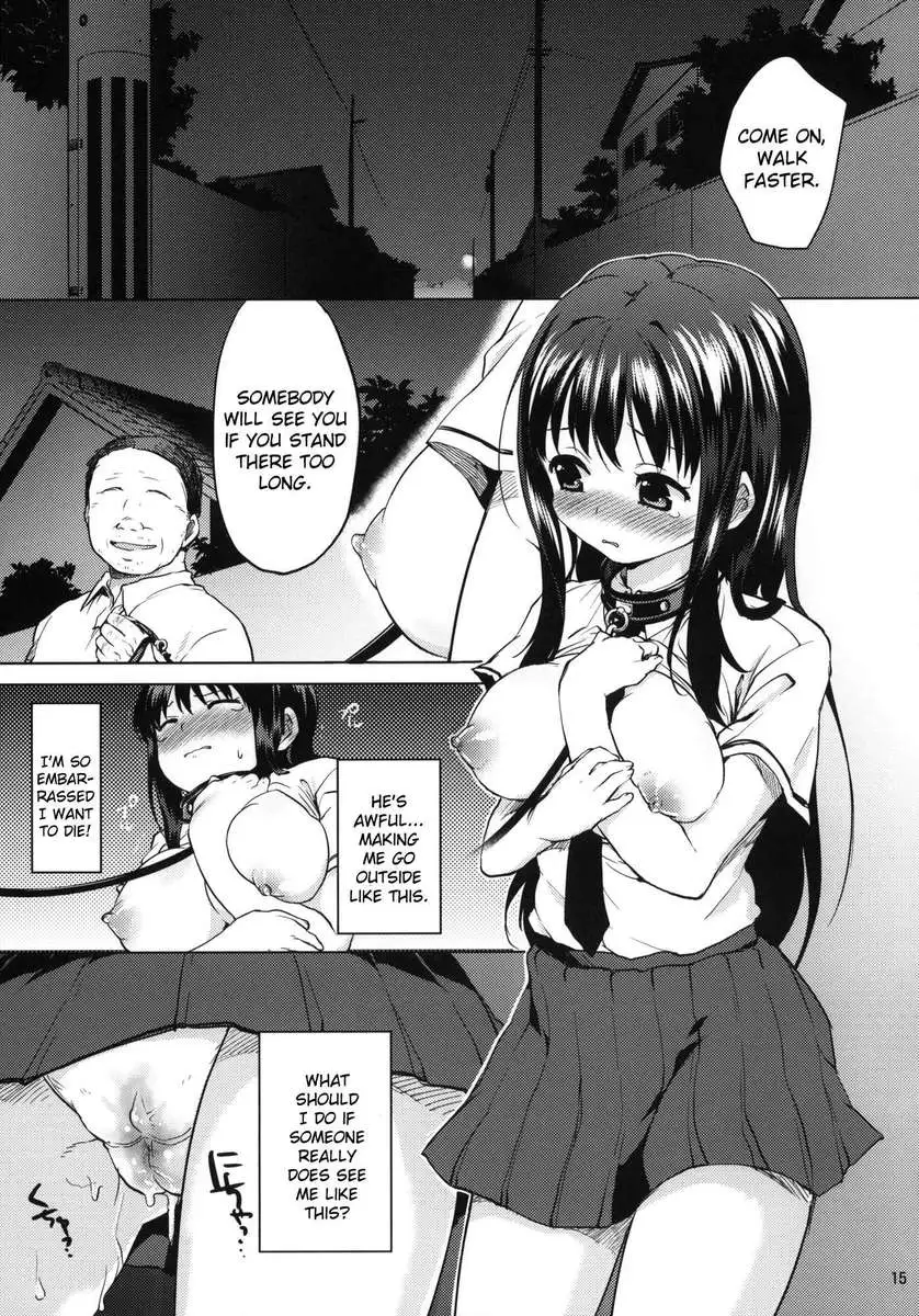 Chii-chan's Development Dairy 2