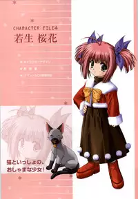 [Studio Mebius] SNOW ART WORKS