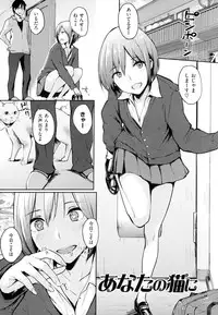 [NAPATA] Sukidarake+melonbooks Tokuten Kakioroshi 8p Shousasshi