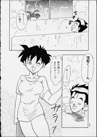(C49) [Chirigami Goya / Fusuma Goten] Z (Dragonball)