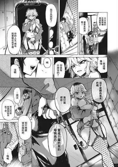 Tora no I o Karu Mesuinu