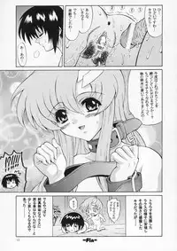 (C66) [GUST (Harukaze Soyogu)] Sternness 3 (Mobile Suit Gundam SEED)