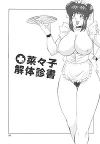 (C66) [Rippadou (H-H)] H H Soushuuhen 3 (Various)