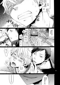 (C80) [Crazy9 (Ichitaka)] Sairoku (Durarara!!)