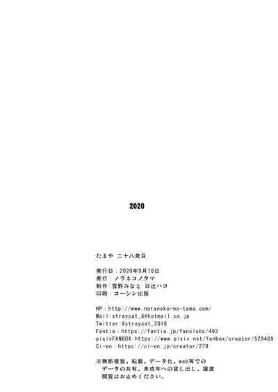 たまや 二十八発目