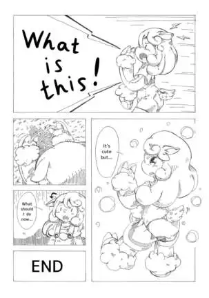 Henka-kei-bo TF Account book