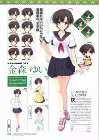 Kimi wo Aogi Otome wa Hime ni Visual Fan Book