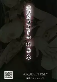 (CT31) [Nanmin Festival (Gibuchoko)] Shousha na Maid no Himegoto (Touhou Project)