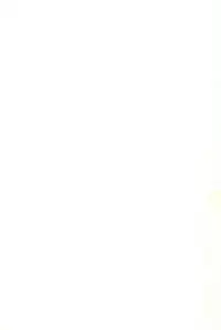 (C44) [CHROMATIC-ROOM (Maka Fushigi)] Momomomomo (Various)