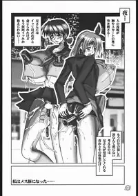 [HGH (HG Chagawa)] Pleated Gunner Zero4 -Millennium- (Dead or Alive)