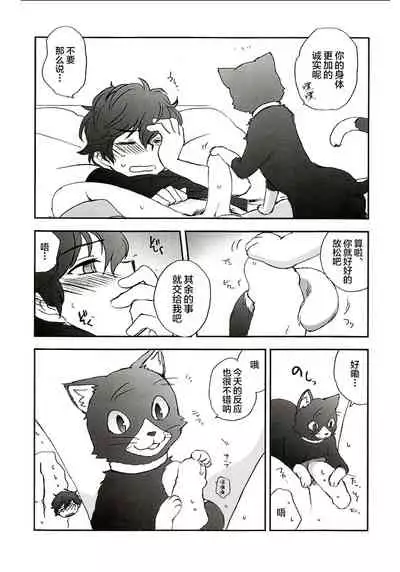 Tokubetsu Kyuukou Mementos