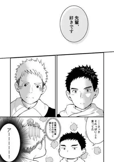 Sukoshi to Ippai no Seishun